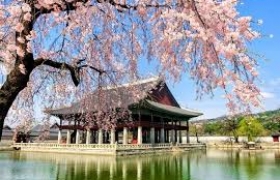 Du lịch Hàn Quốc hè khám phá Sancheong vùng đất quê hương thầy Park Hang- Seo từ Sài Gòn