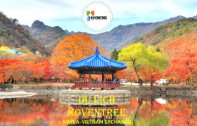 Chùm Tour Du lịch mùa thu tại Hàn Quốc khởi hành từ Hà Nội đến incheon giá tốt