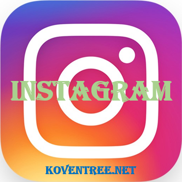 instagram.com