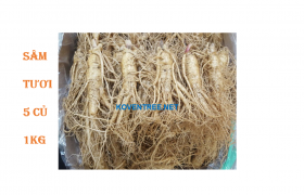 SÂM TƯƠI 5 CỦ 1KG