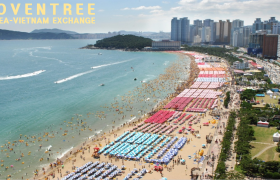 CHÙM TOUR DU LỊCH MÙA HÈ TẠI HÀN QUỐC GIÁ TỐT NHẤT