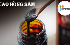 Cao hồng sâm Kumsan 500g
